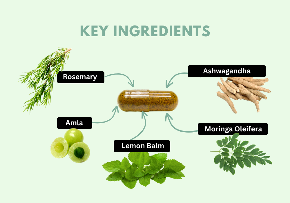 Key Ingredients