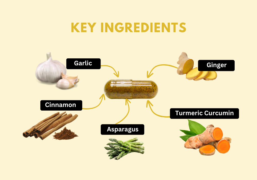 Key Ingredients