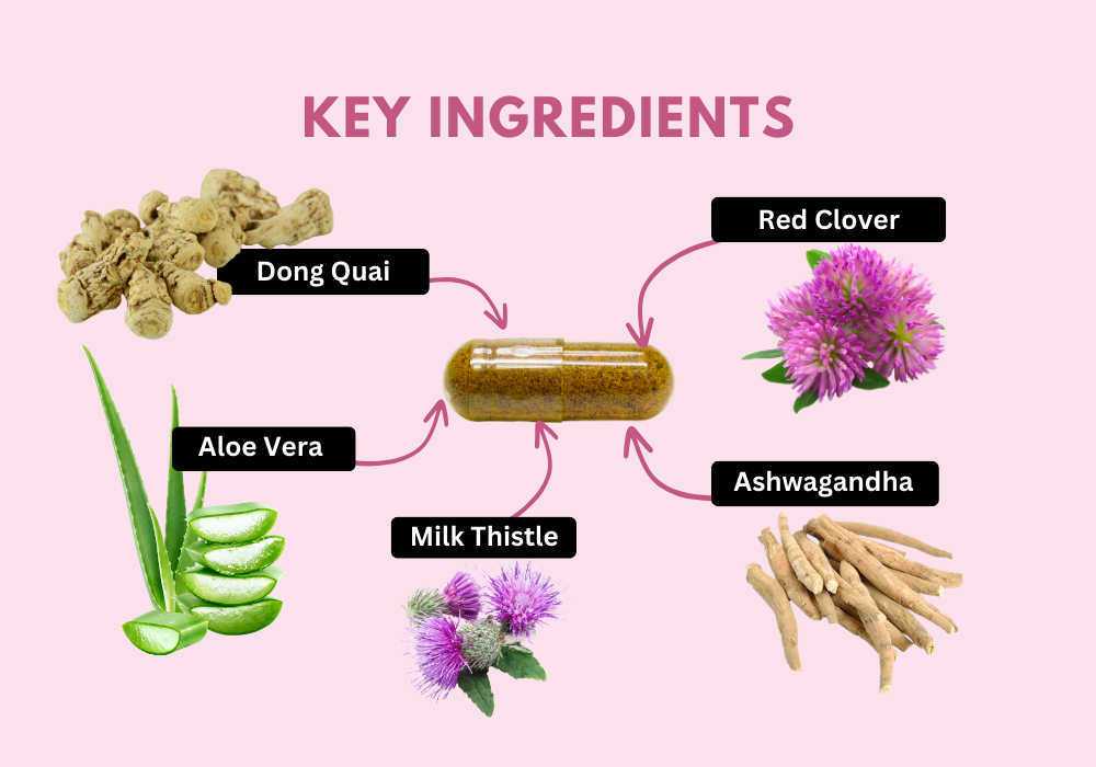 Key Ingredients