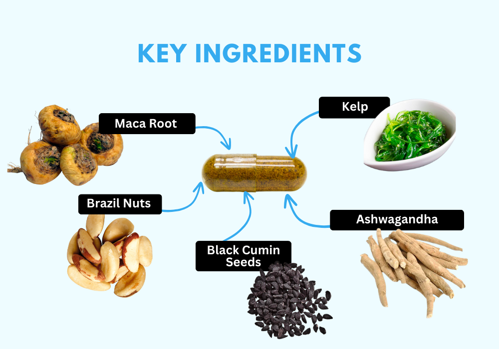 Key Ingredients