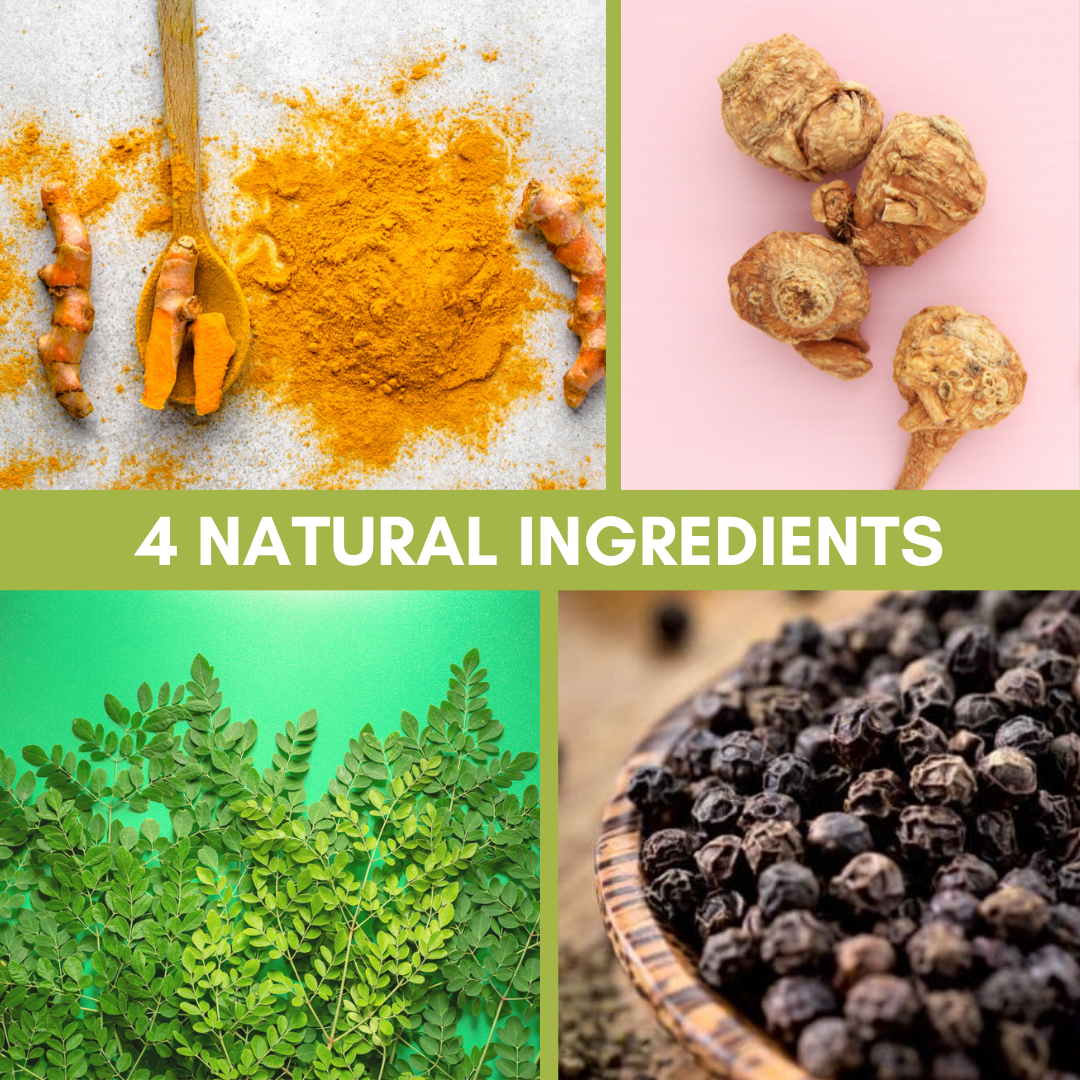 Immune Support